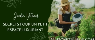 Jardin Vertical : Secrets pour un Petit Espace Luxuriant