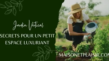 Jardin Vertical : Secrets pour un Petit Espace Luxuriant